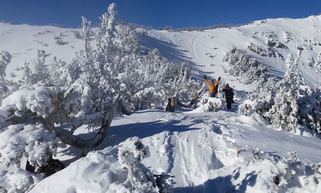 New Years Day skiing
