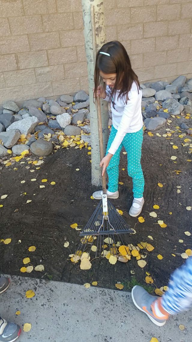 november-14-2016-raking-in-pjs