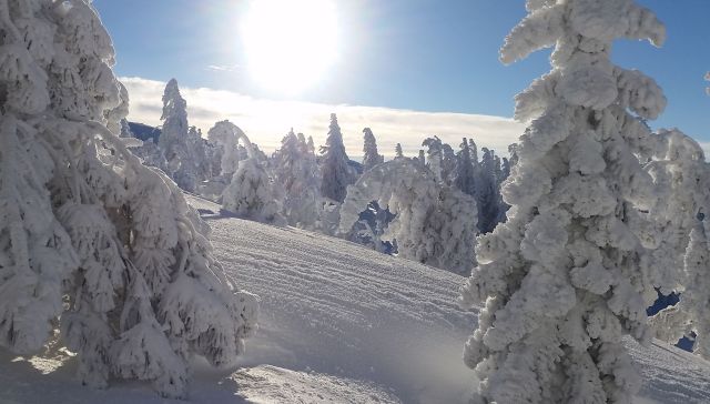 4-sunshine-to-the-east