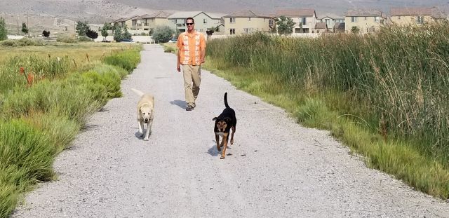 August 3 2018 dog walk